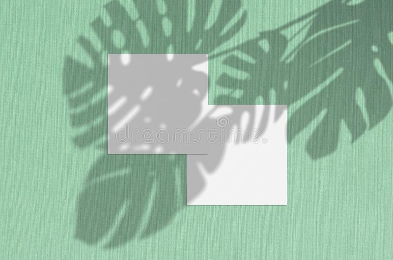 37+ Download ﻿Mockup Carte De Visite Mockup&nbsp;Psd